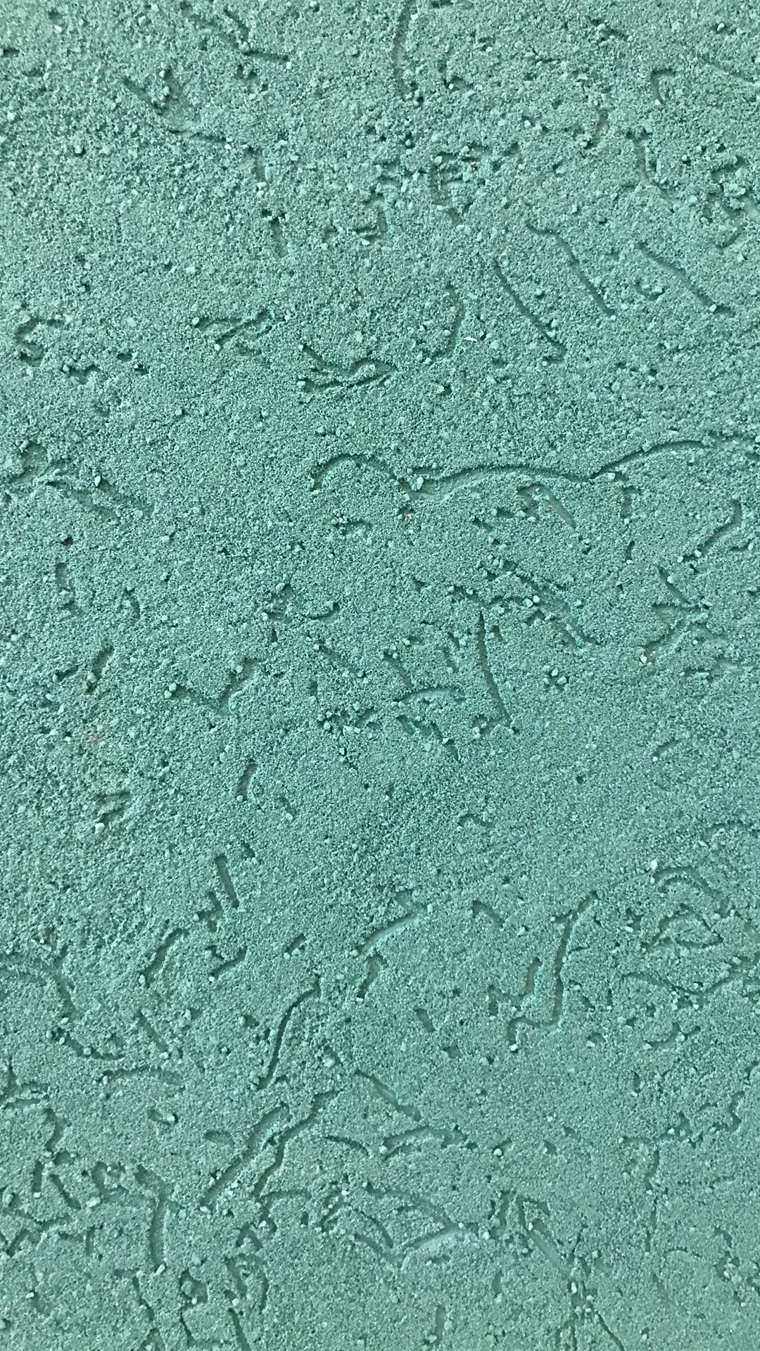 Textura Romano Mixtura
